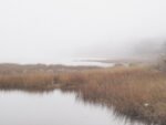 The Quietness of Long Island Sound
