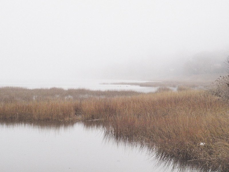 The Quietness of Long Island Sound